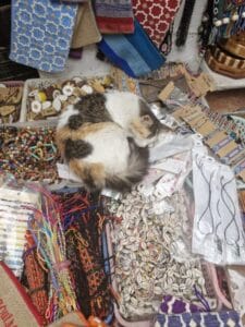 ubezpieczenia maroko